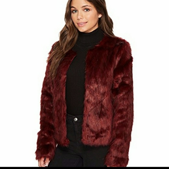 Romeo & Juliet - Picture 3 of 8